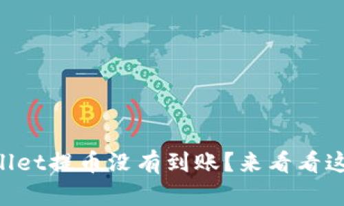 为什么向TPWallet提币没有到账？来看看这些可能的原因！